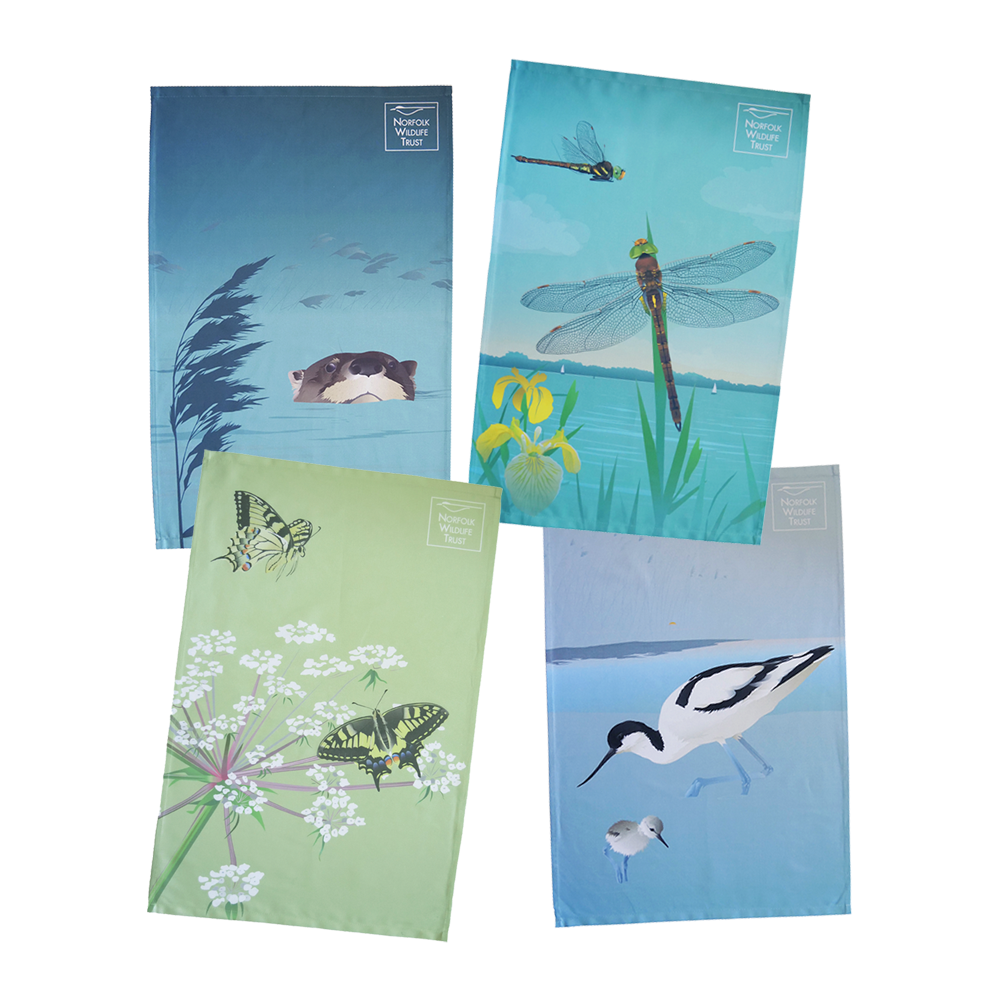 A blue rectangular tea towel featuring two ospreys on the nest, one perched and one with wings open.  It is folded with cardboard, non plastic packaging.