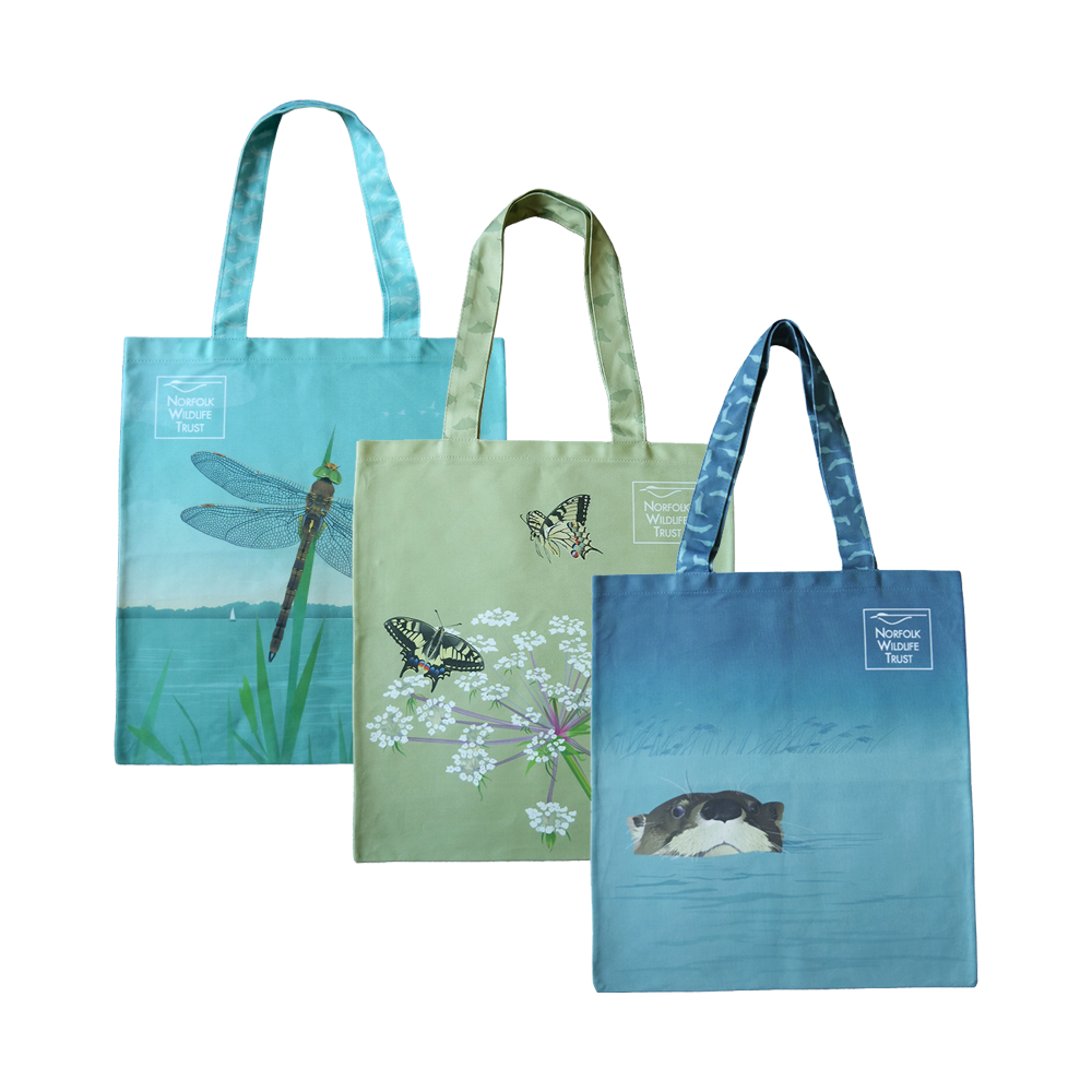 A light green rectangular tote bag features two swallowtail butterflies and their food plant milk-parsley, a plant with clusters of small white flowers