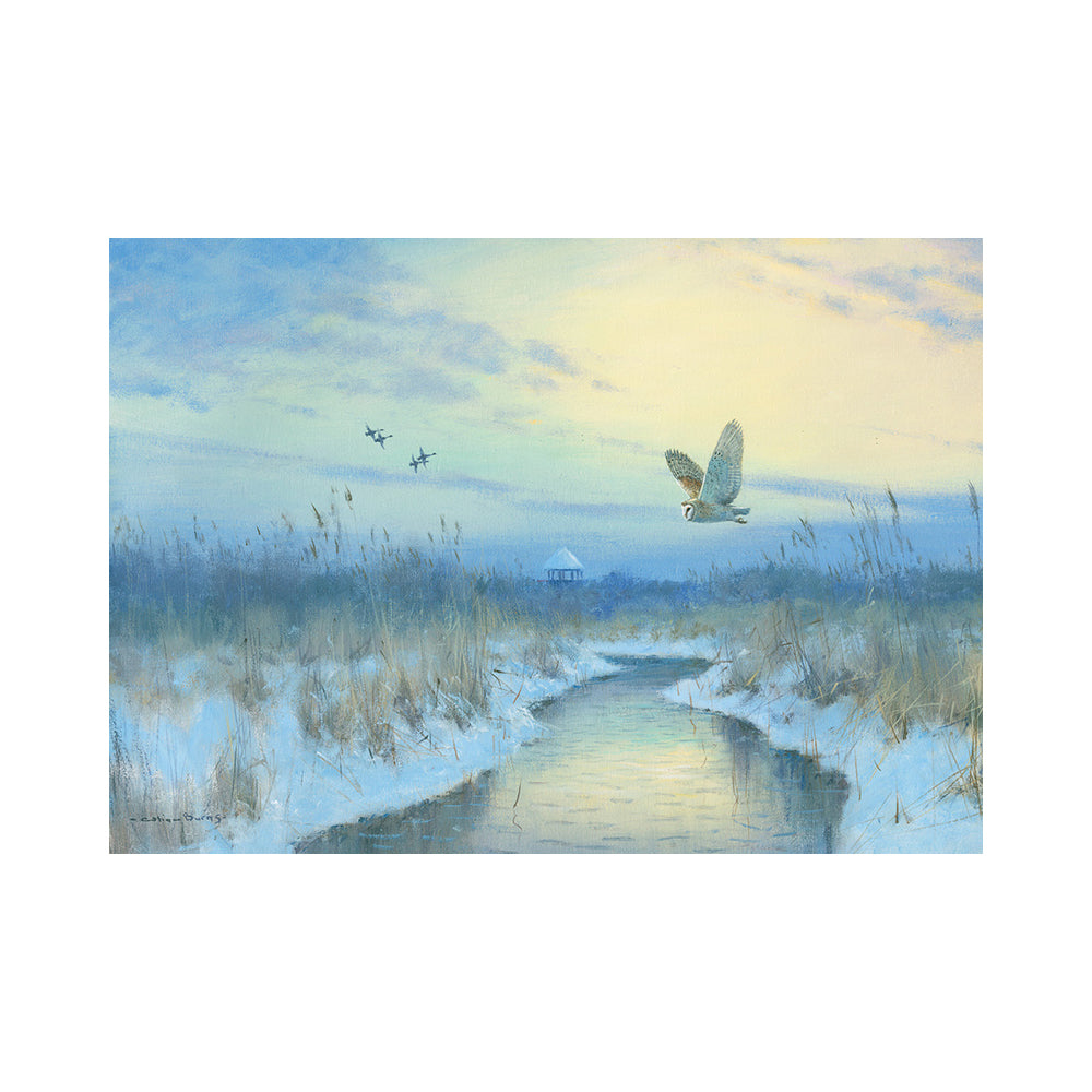 A winter Broads landscape painting of a broad winding through snowy marsh grasses, with a Barn owl flying overhead and four waterfowl in the distance under a pale sky.