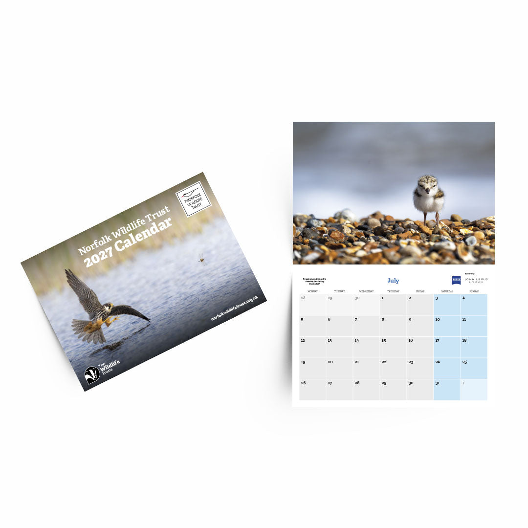 Norfolk Wildlife Trust 2027 calendar