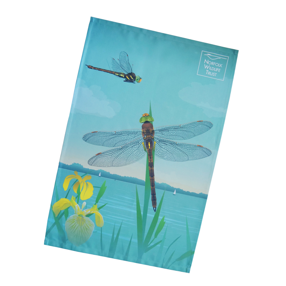 A blue rectangular tea towel features a Norfolk hawker dragonfly and yellow iris