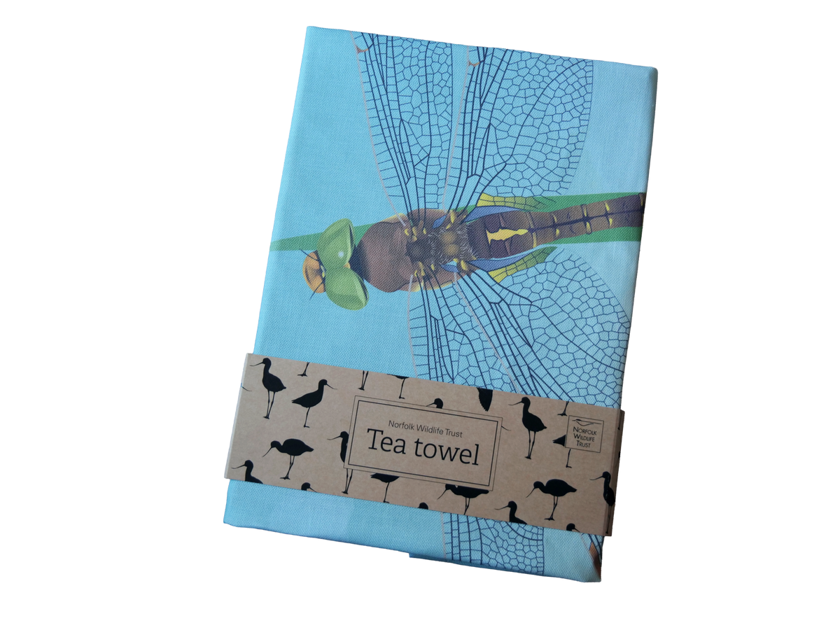 A blue rectangular tea towel features a Norfolk hawker dragonfly and yellow iris, pictured folded with cardboard, plastic free packaging