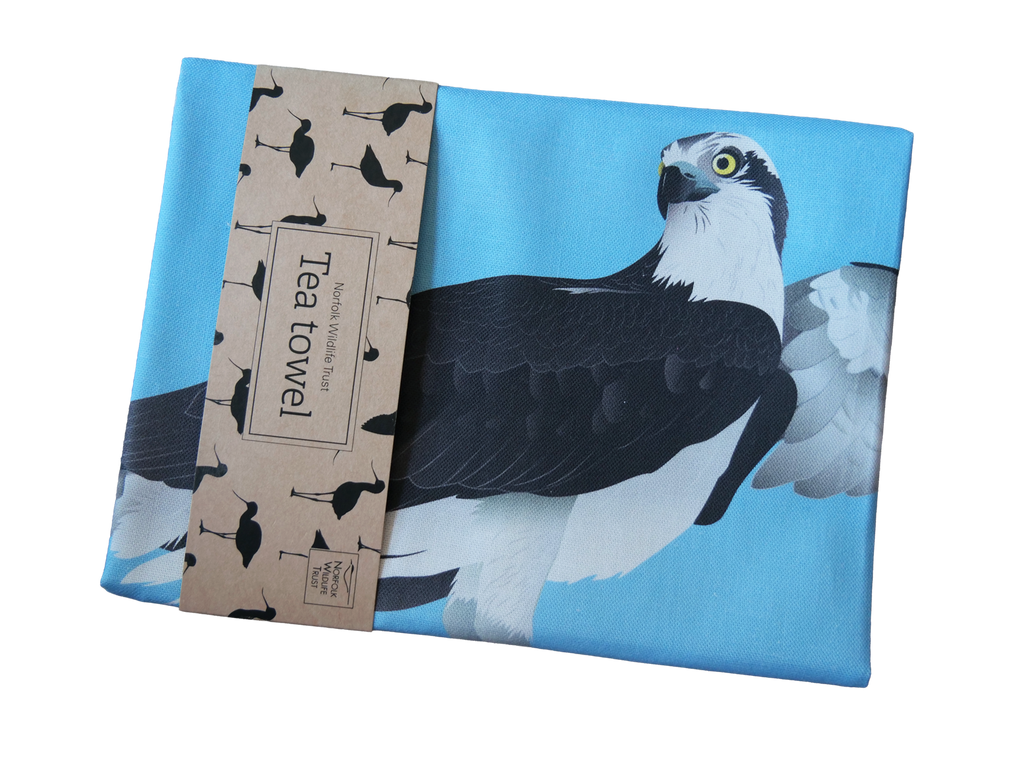 A blue rectangular tea towel featuring two ospreys on the nest, one perched and one with wings open.  It is folded with cardboard, non plastic packaging.