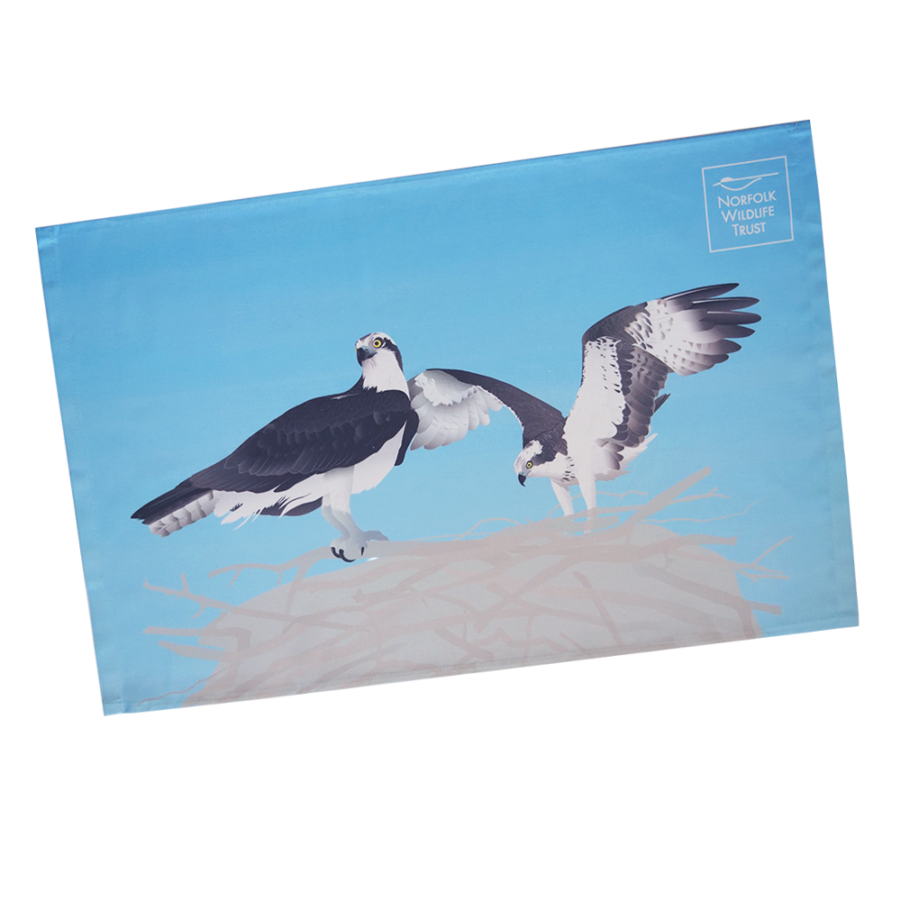 A blue rectangular tea towel featuring two ospreys on the nest, one perched and one with wings open