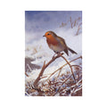 A watercolor-style painting of a robin perched on a snowy branch, with pale blue sky and white snow in the background.