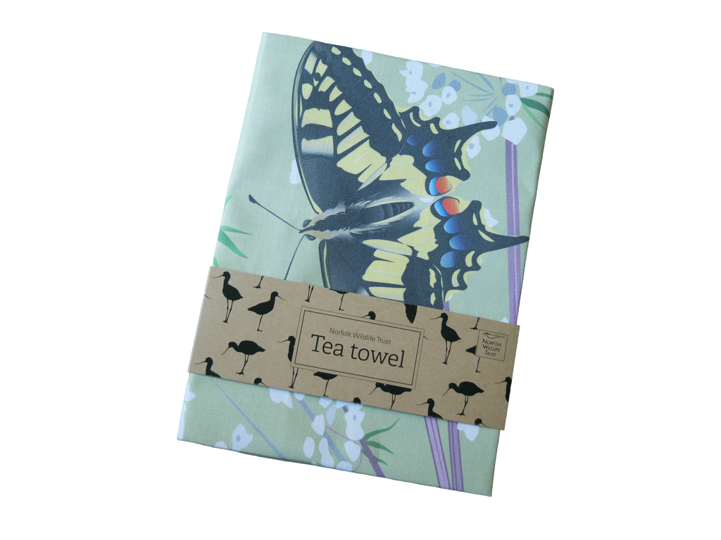 A light green rectangular tote bag features two swallowtail butterflies and their food plant milk-parsley, a plant with clusters of small white flowers. It is folded with a plastic free cardboard band packaging